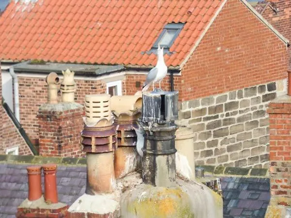Apartamento High Ridge Whitby